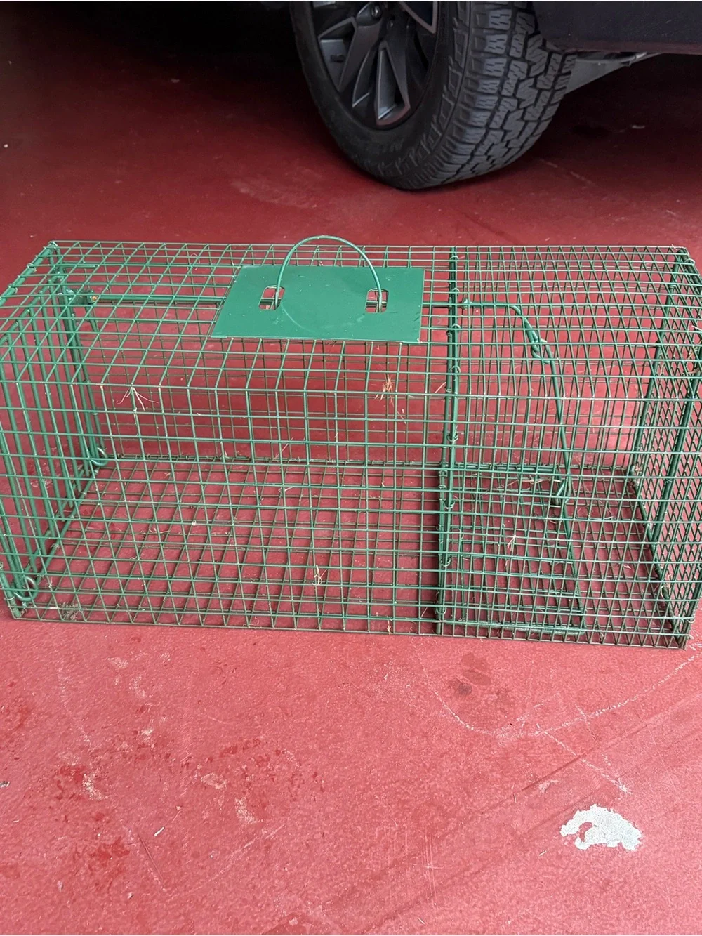 Duke Traps HD Large Cage Trap with Top Carry Handle